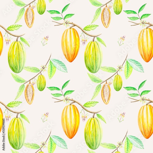 Fototapeta Naklejka Na Ścianę i Meble -  Seamless tropical pattern with cocoa tree branches, fruits and cocoa leaves.Watercolor hand drawn illustration