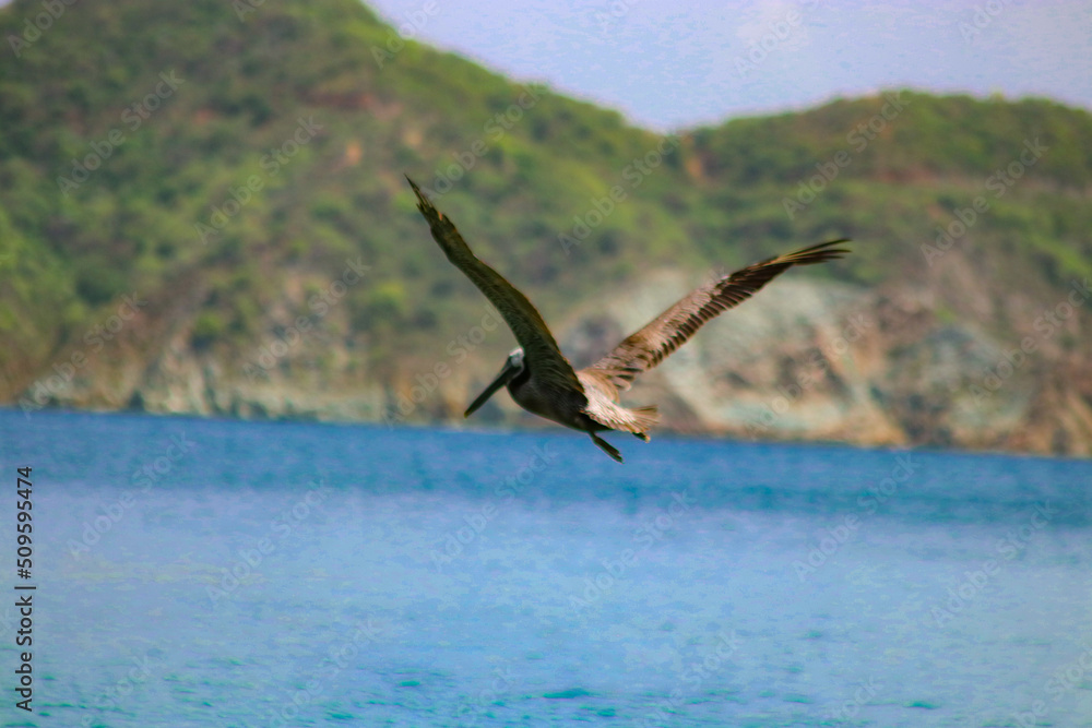 Fototapeta premium Tayrona Park