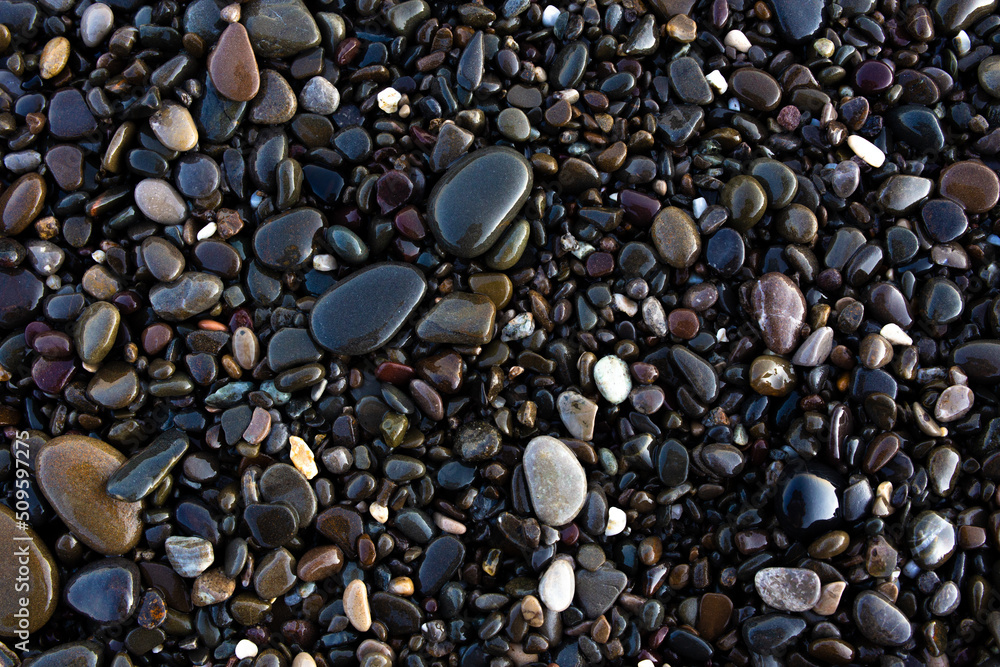 Background texture of wet pebbles on the seashore Background texture of wet pebbles on the seashore