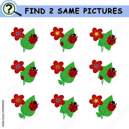 Find same pictures with cartoon flowers and ladybugs. Educational logical game for children. Vector illustration.