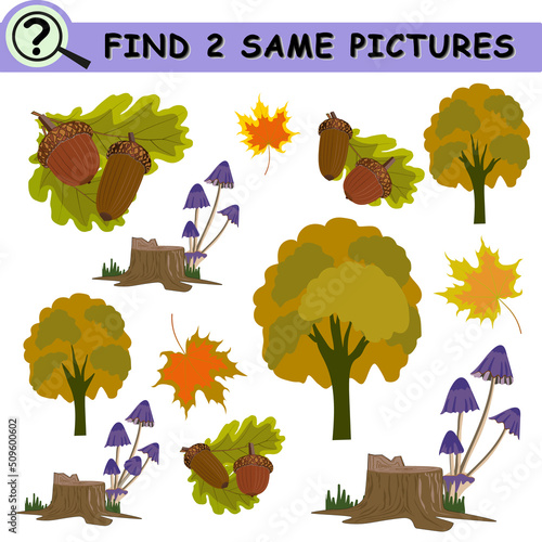 Find same pictures with cartoon autumn leaves, mushrooms, acorns, trees. Educational logical game for children. Vector illustration.