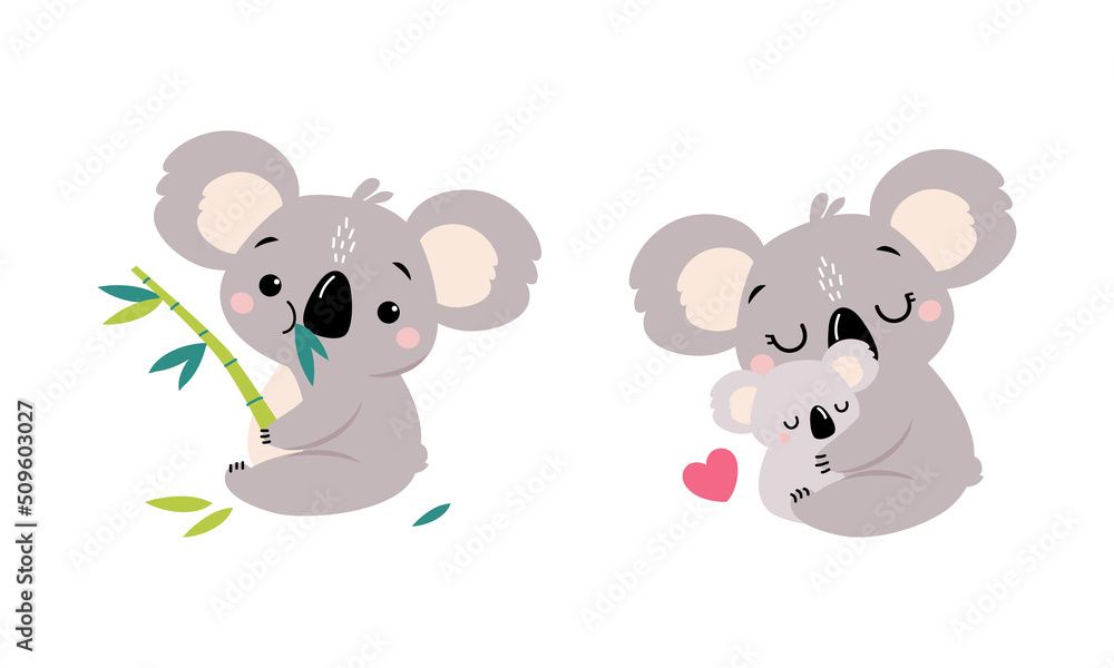 Obraz premium Adorable Koala Arboreal Australian Animal with Round Ears Chewing Eucalypt and Embracing Baby Vector Set