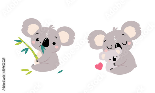 Adorable Koala Arboreal Australian Animal with Round Ears Chewing Eucalypt and Embracing Baby Vector Set