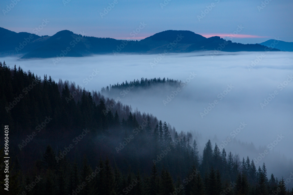 The mountain valley is covered with thick foggy clouds, morning in the Carpathians