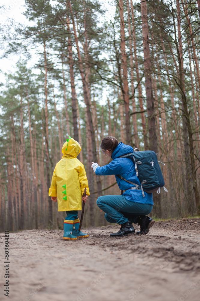 Mom and child walking along the forest road after rain in raincoats together, mom shows into the distance, back view Mom and child walking along the forest road after rain in raincoats together, mom shows into the distance, back view