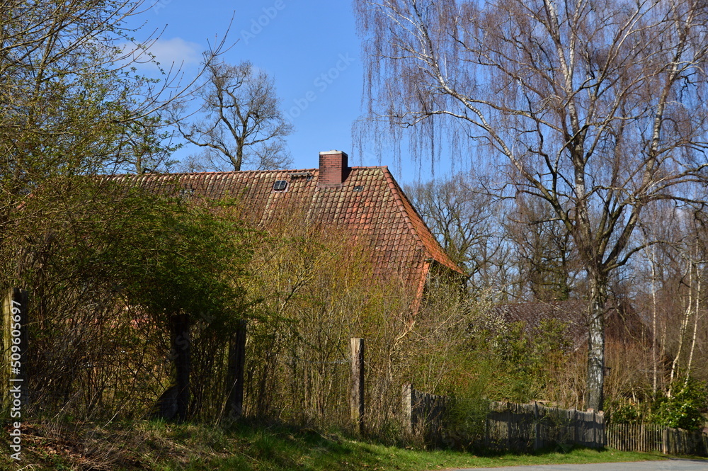Obraz premium Frühling im Dorf Borg, Niedersachsen