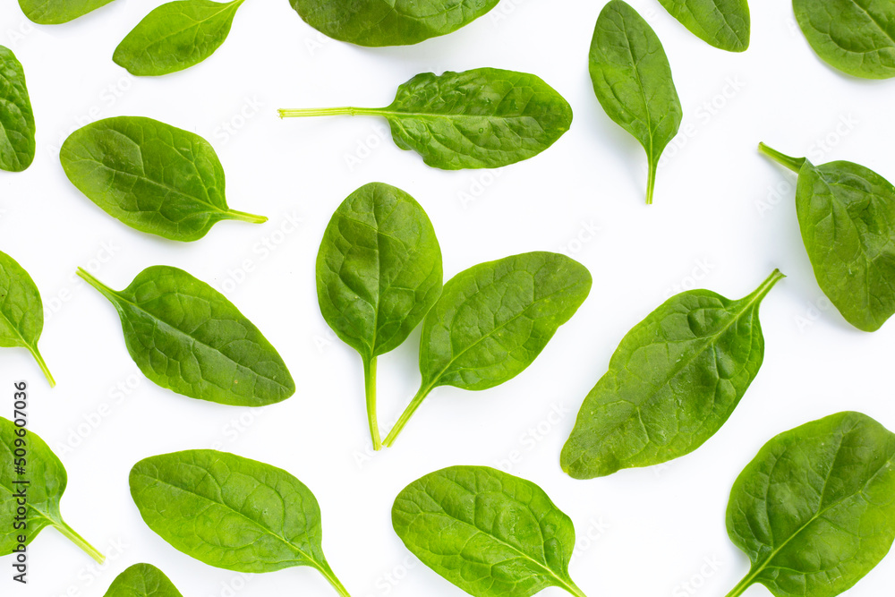 Spinach leaves on white background. Spinach leaves on white background.
