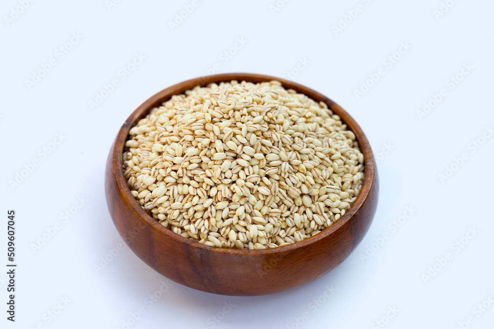 Barley grain on white background. Barley grain on white background.