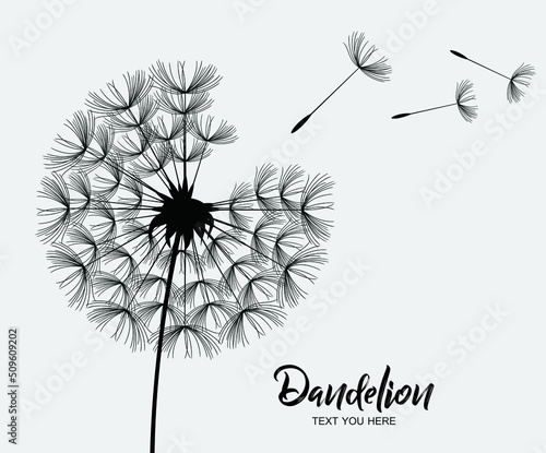Flying dandelion seeds, Vector Dandelion blowing silhouette.