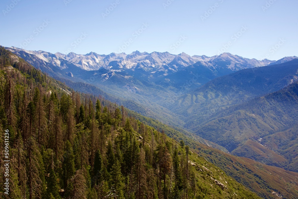 Sequoia National Park Mountain Range Sequoia National Park Mountain Range