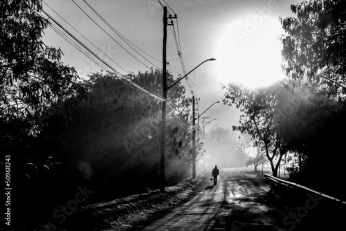 silhouette in the fog