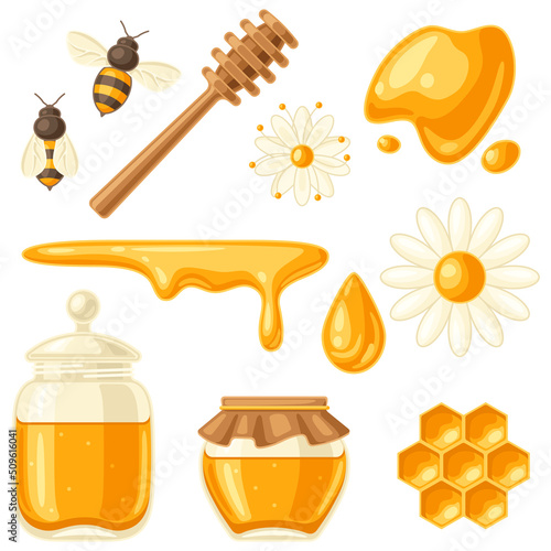 Set of honey items. Image for food and agricultural industry.