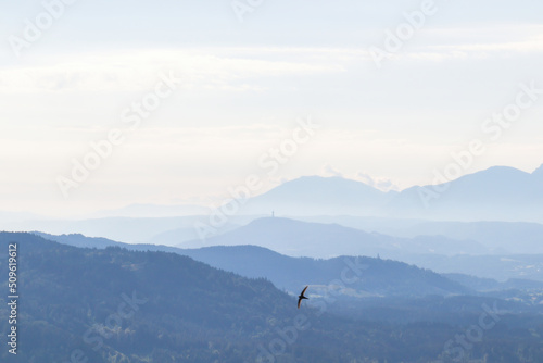 A bird flying across the sky with the view on the valley at the foothill of Austrian Alps. The mountains in the back are very steep and sharp. Lush pastures in front. Clear and blue sky. Serenity