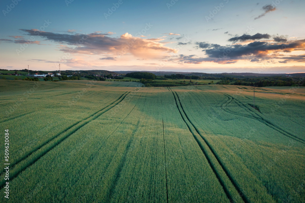 Idyllic sunset over the wheat field in Poland