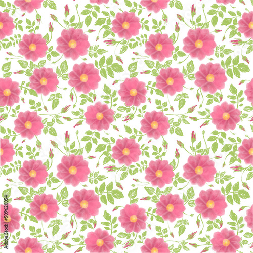 roseship siamless pattern. Hand drawn simple abstract flowers print. Trendy bright collage pattern. © ElenaFe