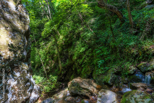 Creek runs through a small gorge in Northeastern, Tennessee, USA