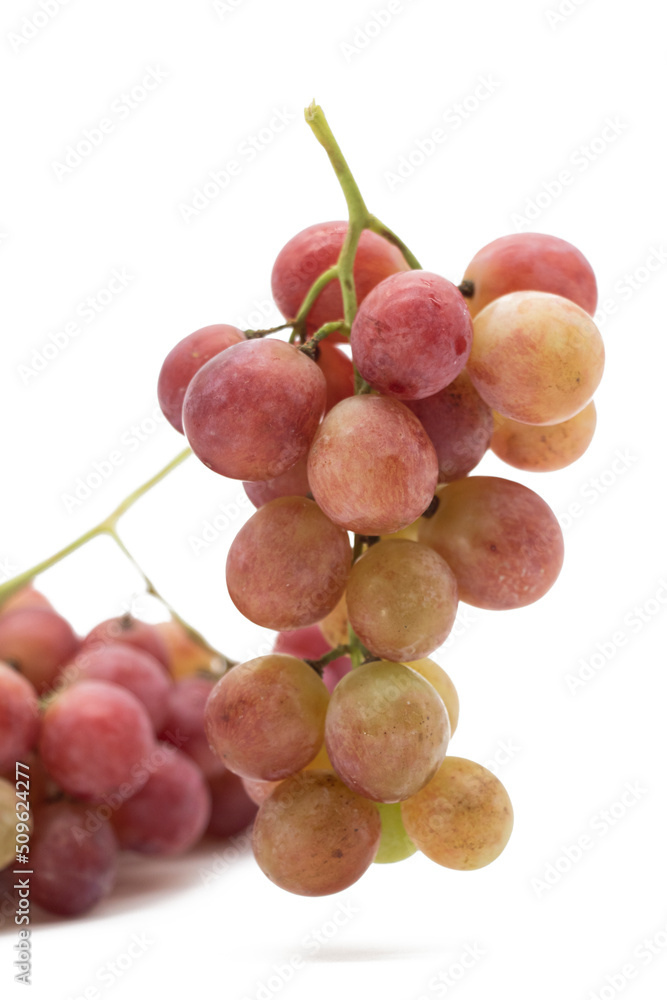Fototapeta premium Bunch of red grapes with water drops. Isolated on white background.