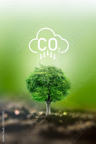 Sustainable business with the planet through renewable energy and green CO2 emissions, whereby using renewable energy can limit climate change and global warming. photo
