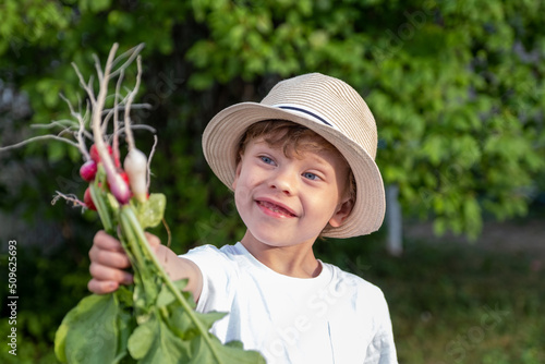 Young boy gardening at home showing his radish harvest. High quality photo