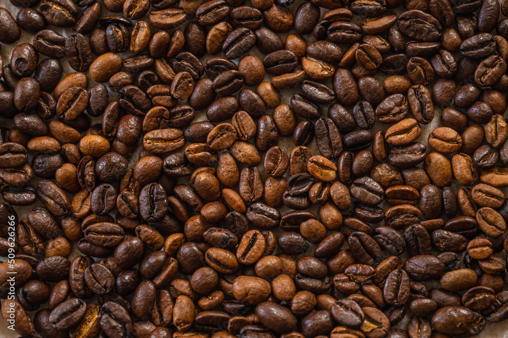 Obraz premium 中煎りコーヒー豆アップ モカ