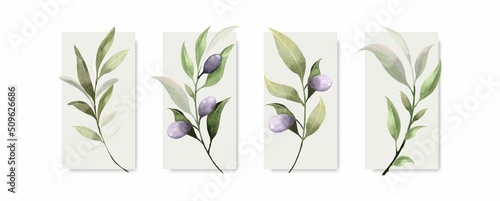 Collection of watercolor botanical leaves vector element design on white background