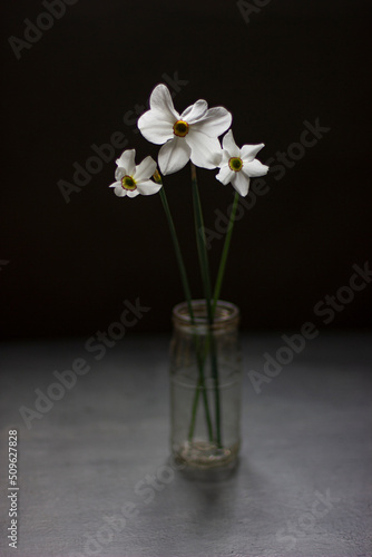 Bouquet of three daffodils