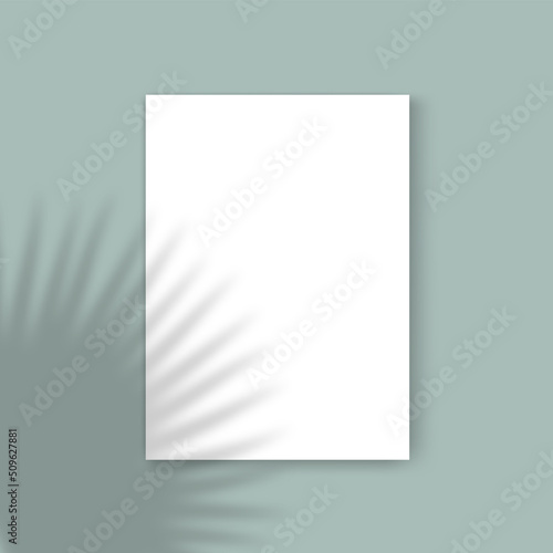 Vector Mockup with empty white A4 paper sheet on olive background and palmetto leaf shadow overlay effect. Minimalist portfolio blank space background for web portfolio, poster mock up, presentation