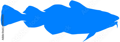 Bacalao