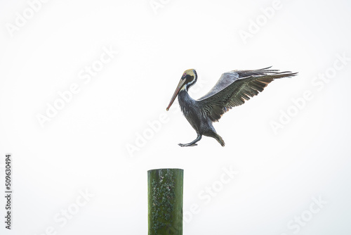 Landing Gear