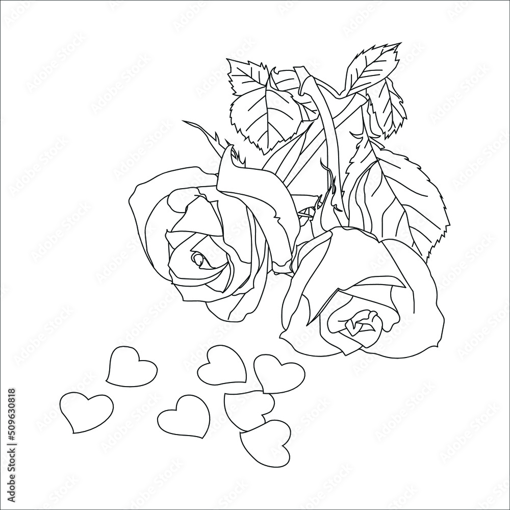 Line art coloring book page with roses and leaves. Vector illustration, coloring, Vector outline flowers. Line art coloring book page with roses and leaves. Vector illustration, coloring, Vector outline flowers.