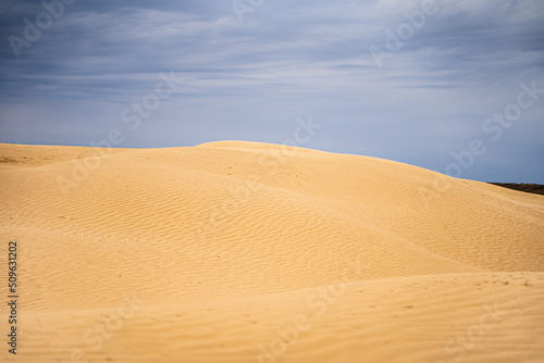 desert in the Astrakhan region of Russia Big Brother, dune of yellow loose sand