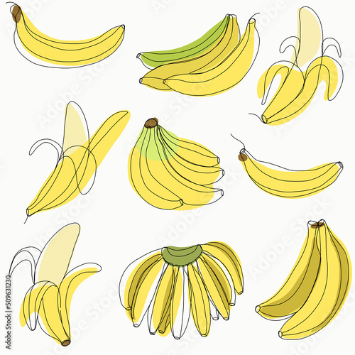 Simplicity banana fruit freehand continuous line drawing flat design collection.