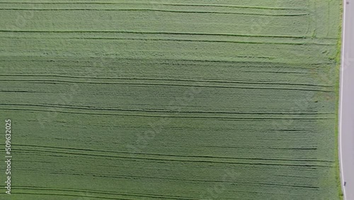 Wallpaper Mural Aerial view of agricultural field, country road, highway, railway track and houses on a sunny summer day. Movie shot June 8th, 2022, Zurich, Switzerland. Torontodigital.ca