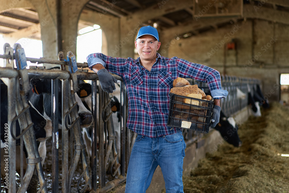 farmer man with bread in his hands at the cow farm farmer man with bread in his hands at the cow farm