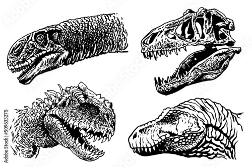 Fotografija Graphical set of dinosaur portraits isolated on white