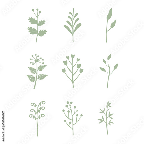 Leaves vector set isolated from the background Leaves different shapes in modern flat style