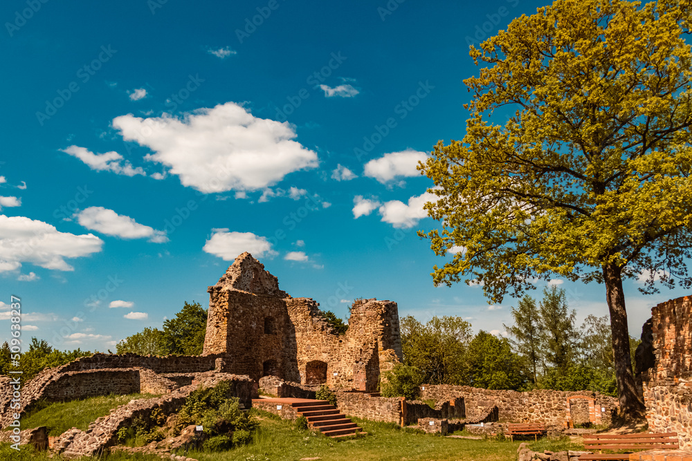 Beautiful sunny summer view at the famous Runding castle ruins, Bavarian forest, Bavaria, Germany
