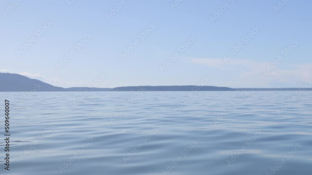 Pretty inlet in Puget Sound on the Salish Sea as seen from a kayak on the water. Pretty inlet in Puget Sound on the Salish Sea as seen from a kayak on the water.