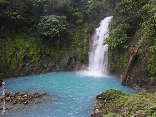 waterfall in the forest