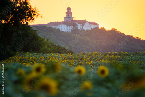 Pannonhalma Archabbey with sunflowers field on sunset time in Hungary photo