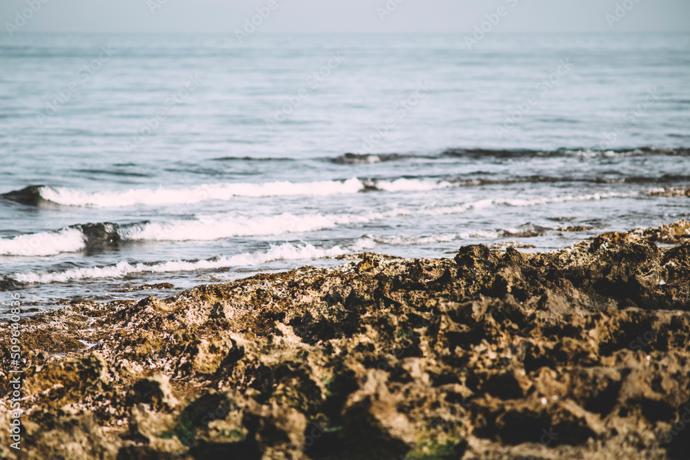 sea and rocks