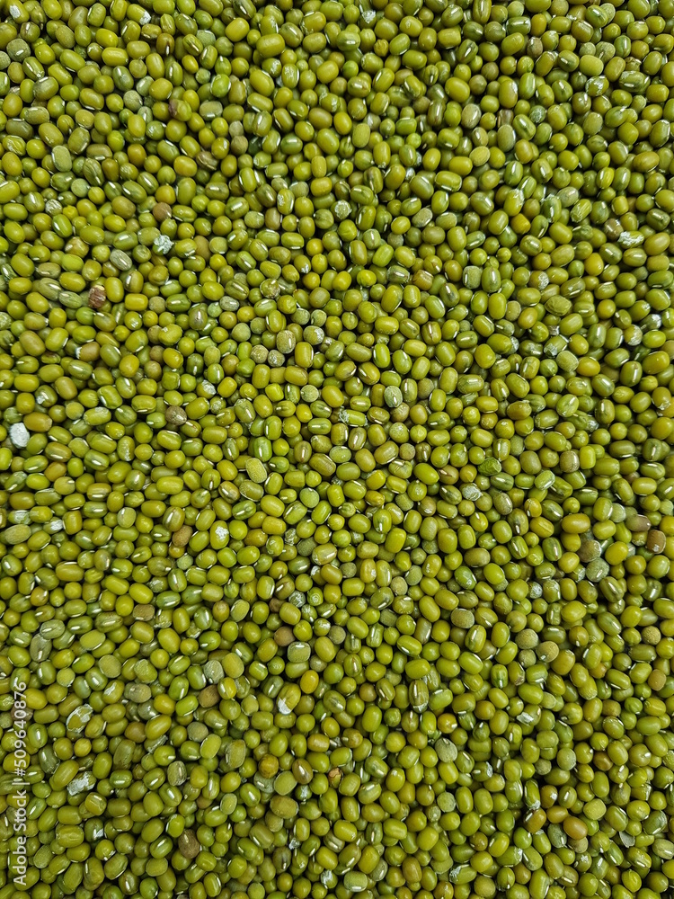 Mung bean or green bean in Viet Nam. Mung bean or green bean in Viet Nam.