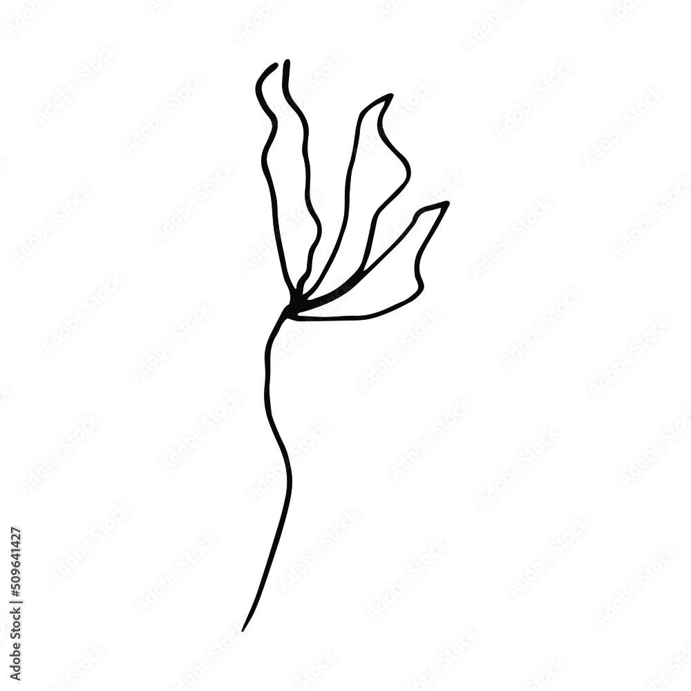Decorative hand drawn tropical leaf, design element. Beautiful flower symbol icon vector illustration graphic design