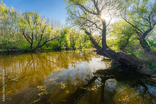 Raba backwater in spring, Gyirmot, Gyor, Hungary