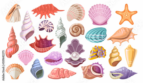 Seashell or sea shell icon set, vector clipart.