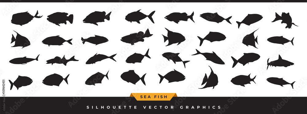 Naklejka premium Sea fish silhouette. Collection of ocean fish silhouette. Hand-drawn sea animals vector icons set are illustrated in different poses isolated on white background.