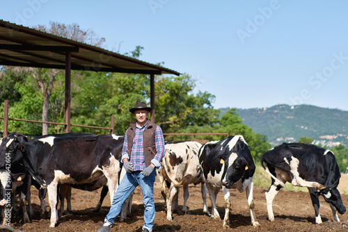 portrait of a shepherd man against the background of a herd of cows
