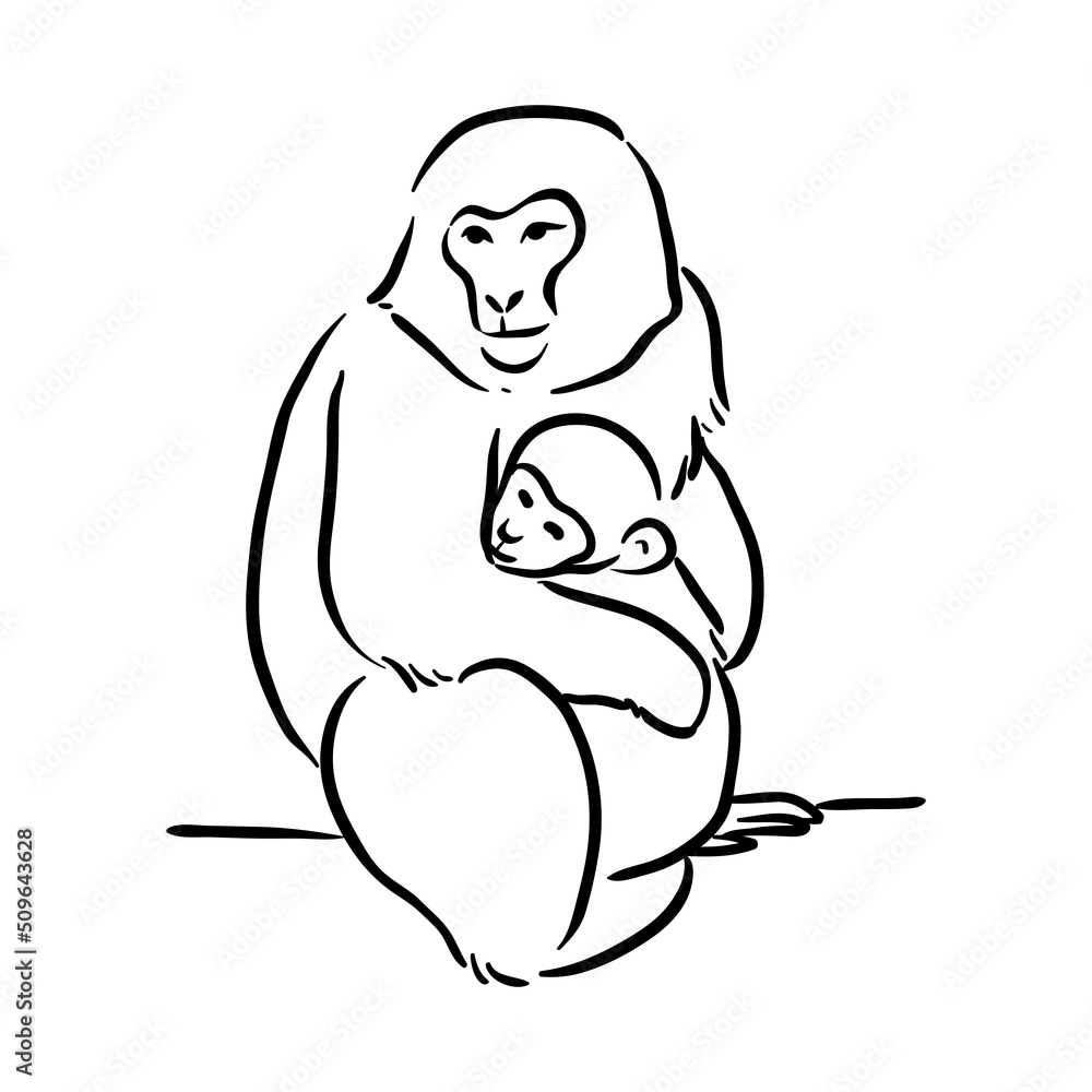 Fototapeta premium Monkey and baby line art