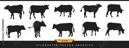 Cow silhouette collection. Big set of livestock, cattle silhouette icons. Hand-drawn farm animal vector illustration in different poses isolated on white background.