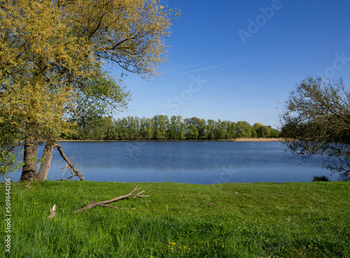 landscape with a lake in spring with green trees and grass on the shore © Christiane